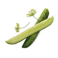 Organic Kosher Dill Pickle Spears - 24 Fl Oz - Good & Gather™ 6 Organic Kosher Dill Pickle Spears - 24 Fl Oz - Good & Gather™ -Good & Gather GUEST 0c73a710 a95d 42c1 838a 4c27d0e98149