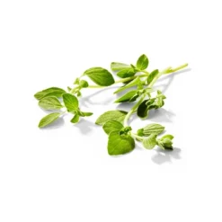 Organic Oregano - 0.5oz - Good & Gatherâ„¢