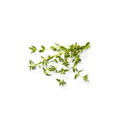 Organic Thyme - 0.5oz - Good & Gatherâ„¢