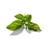 Organic Basil - 0.5oz - Good & Gather™ -Good & Gather GUEST 618e34e4 01b1 4a3e ae70 a0850b2a93ee
