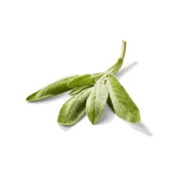 Organic Sage - 0.5oz - Good & Gatherâ„¢