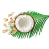 Toasted Coconut Chips - 3oz - Good & Gather™ -Good & Gather GUEST c2b8959b 2272 49aa 8920 33806898a338