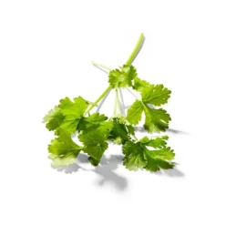 Organic Cilantro - 0.5oz - Good & Gatherâ„¢
