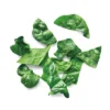 Frozen Cut Leaf Spinach - 10oz - Good & Gather™ -Good & Gather GUEST d787770a a6f7 4eb6 a45e 518330923000
