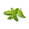 Organic Mint - 0.5oz - Good & Gather™ 1 Organic Mint - 0.5oz - Good & Gather™ -Good & Gather GUEST f857f4f2 0848 4cb9 9468 c01026a61046